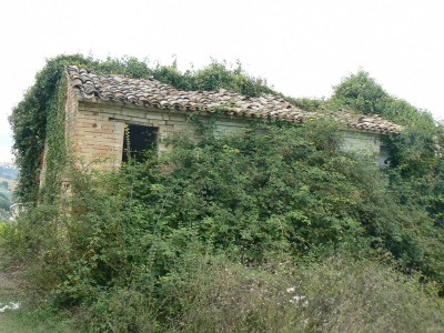 Properties for Sale_Farmhouses to restore_La Casetta in Campagna in Le Marche_1